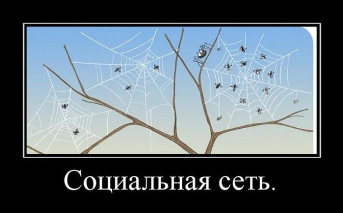 Социальная сеть
