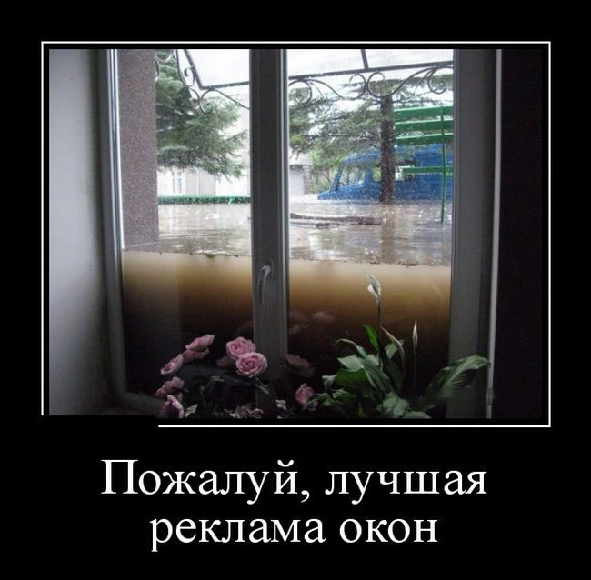Реклама окон