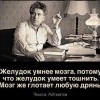 Желудок умнее мозга Желудок умнее мозга