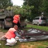windstorm