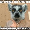 кагданибудь ты узбагоишься))))))