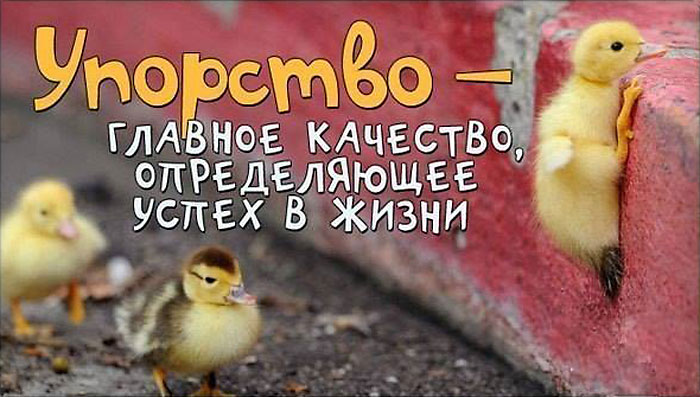 Упорство