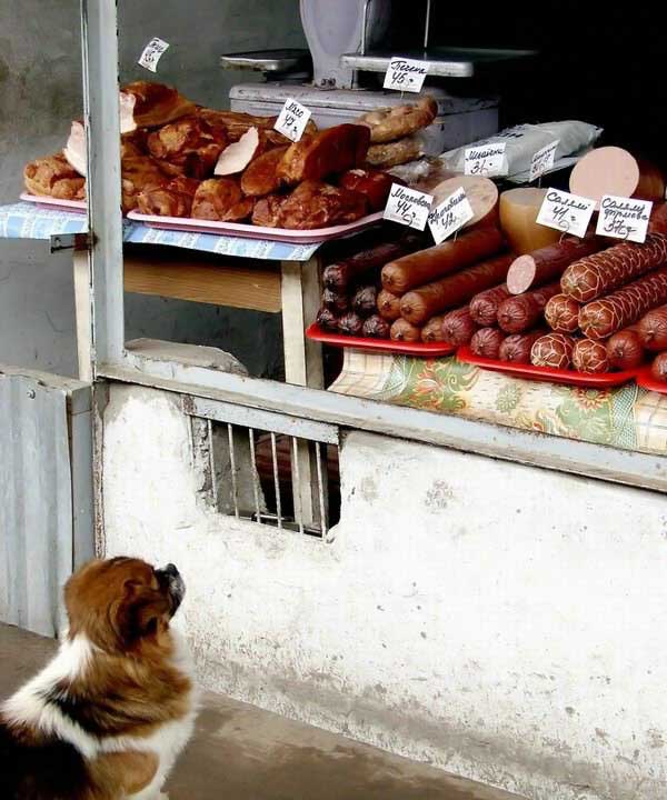 выбор труден