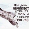 День начат-окончен