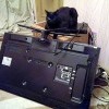 Котэ Котэ