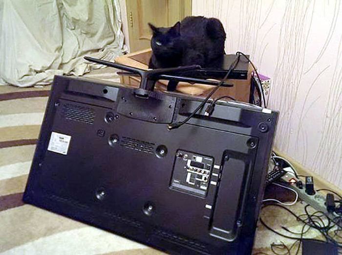 Котэ
