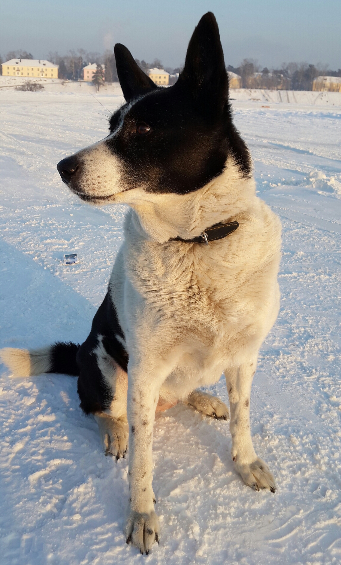 моя красотка 