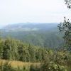 IMG 0812
