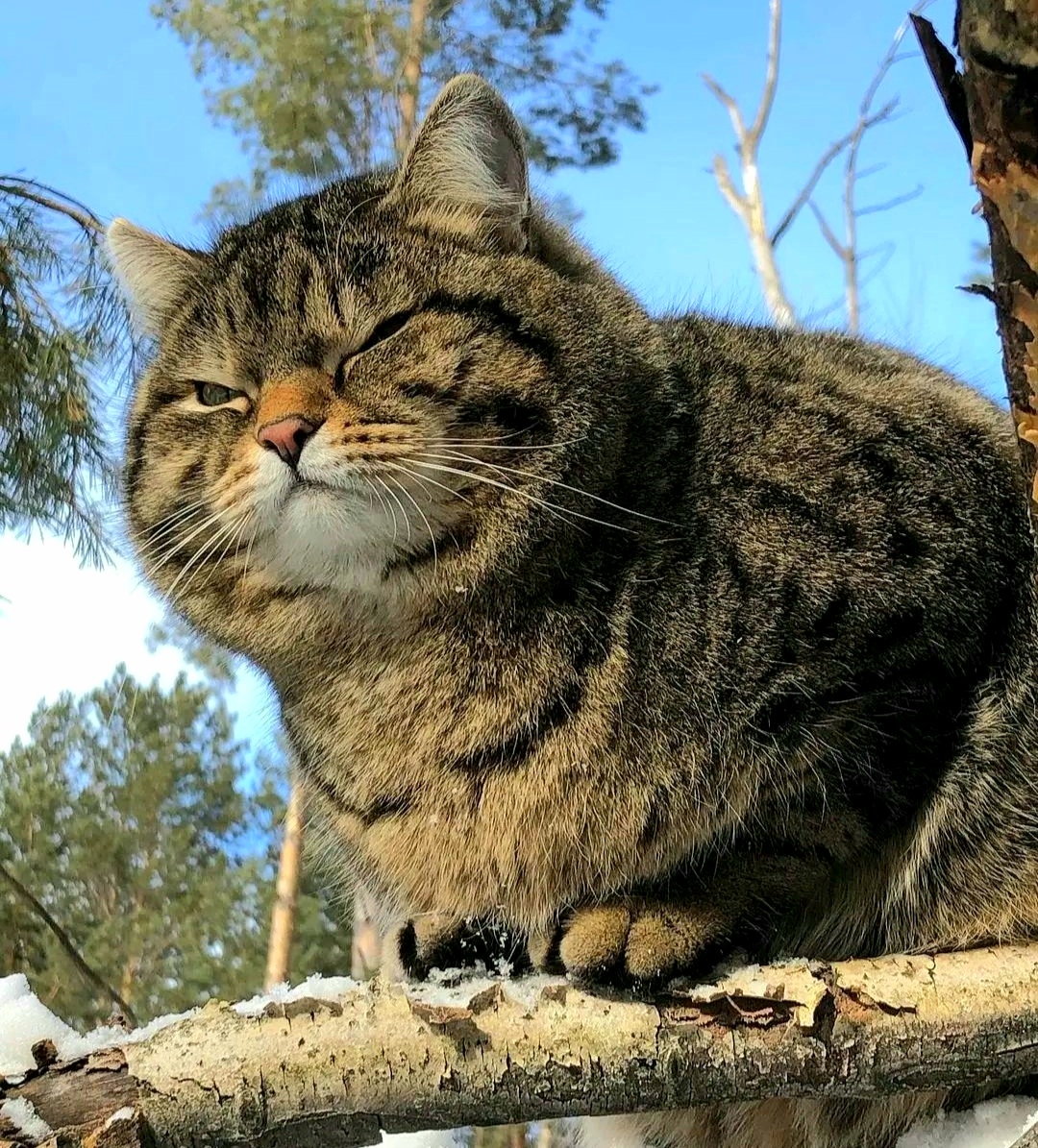 пшлинах атсюда))))))