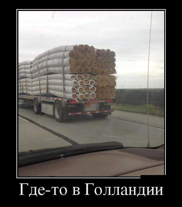 Где-то в Голландии