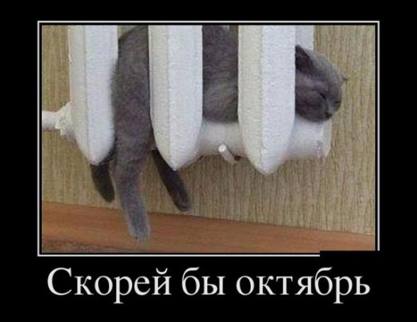 Скорей бы октябрь