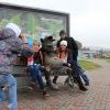 А сфоткай типа мы такие с волком