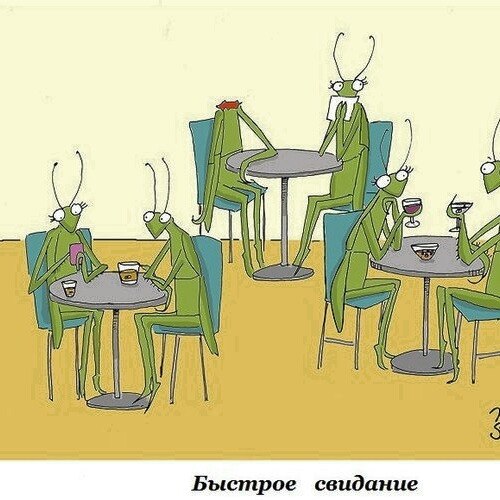 быстрое свидание)))))