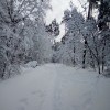Сегодня те, кто добирается на работу пешком, впервые за долгое время пришли первыми. Сегодня те, кто добирается на работу пешком, впервые за долгое время пришли первыми.