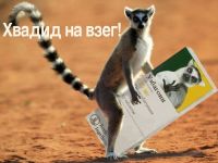 Узбагойся))))))