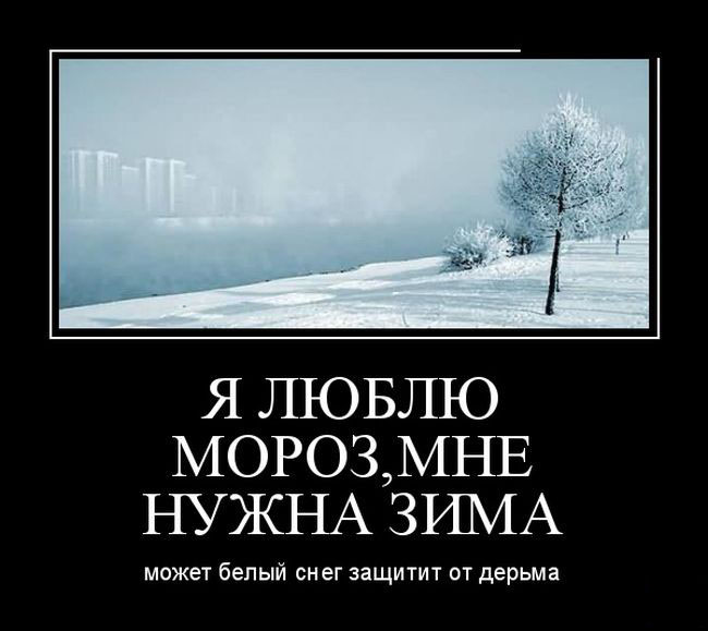 Я люблю мороз