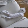 кот