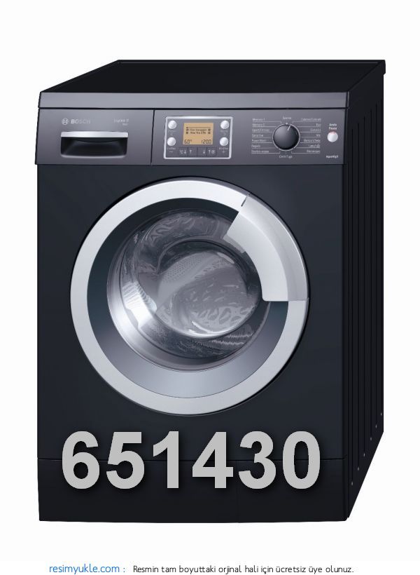 Bosch1