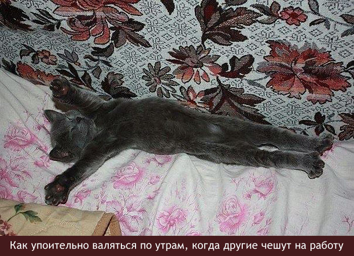 Упоение