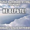 Выживают только хитрожопые Выживают только хитрожопые