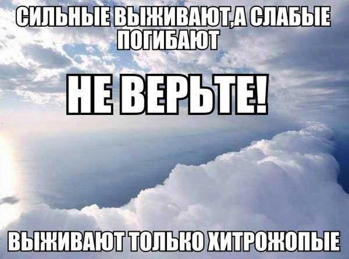 Выживают только хитрожопые