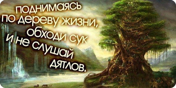 Не слушай дятлов