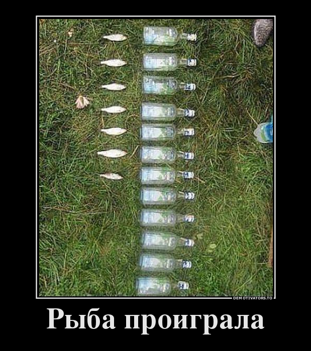 Отчет рыбалки