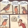 Пение птиц