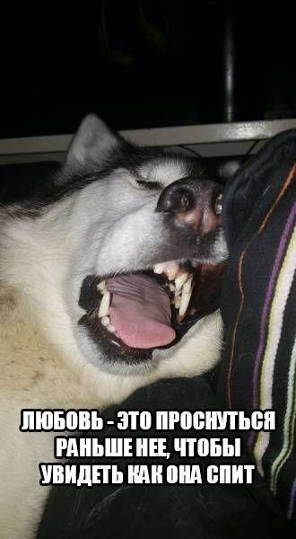 Любовь это))))