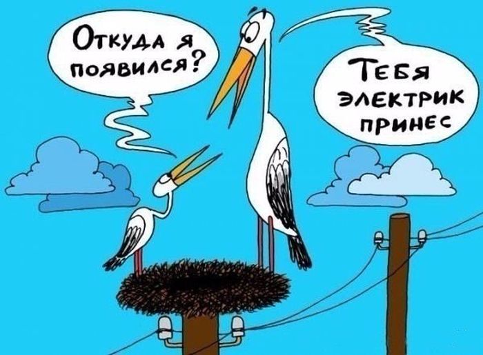 История рождения