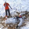 Как лепят снеговика разные знаки Зодиака.Стрелец.