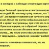 Эволюция Эволюция