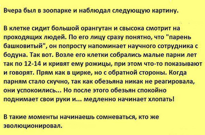 Эволюция