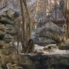 котик