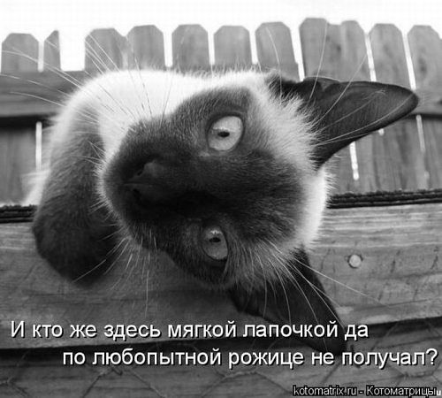 GetImage