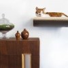 Лежанки на стенах для кошек – любителей поспать на высоте Лежанки на стенах для кошек – любителей поспать на высоте
