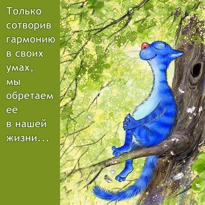 Гармония