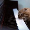 музыкальная пауза а а