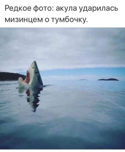 редкое фото))))))