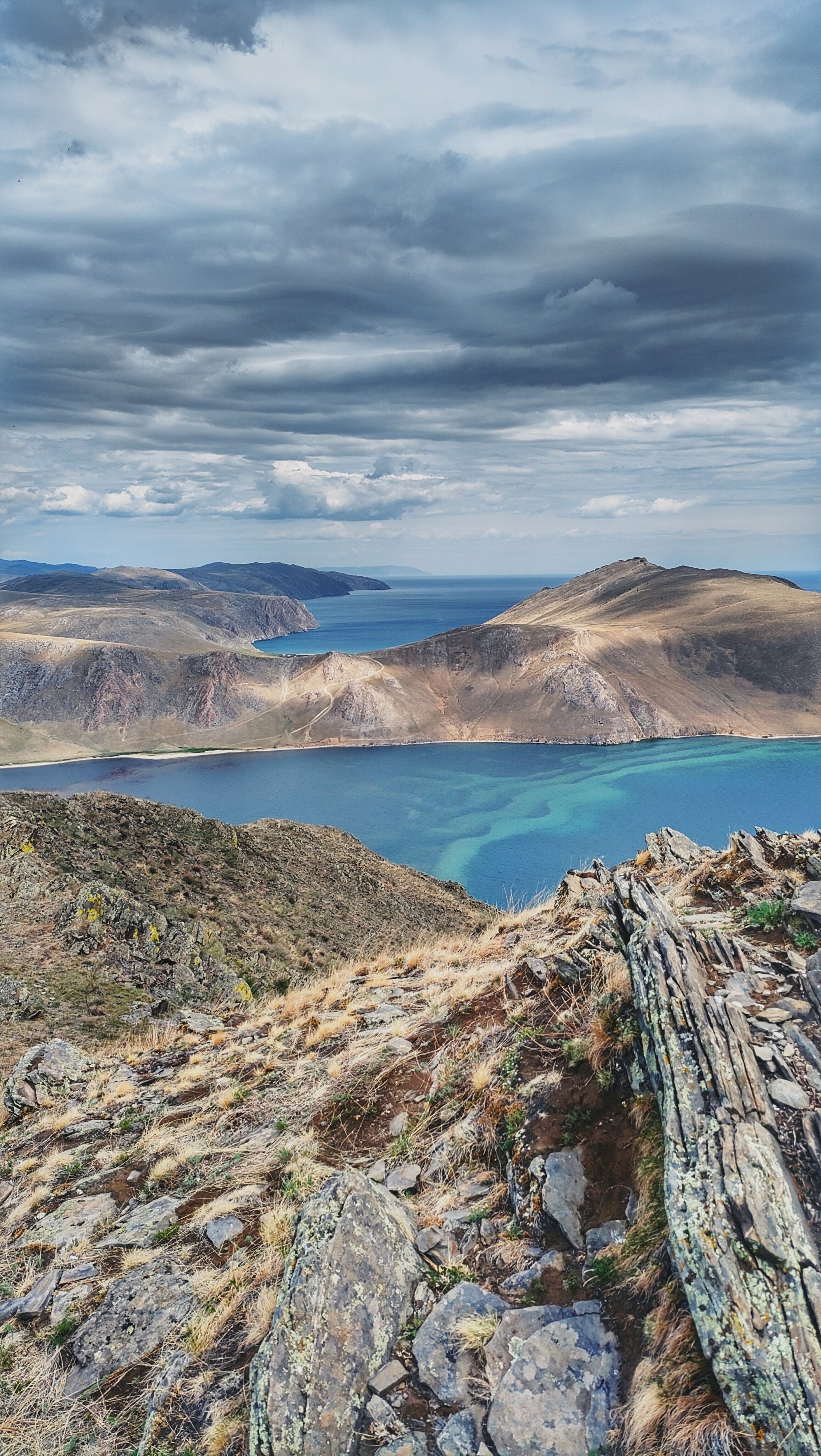 Волшебный цвет 