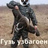 гузь узбагоин)))) гузь узбагоин))))