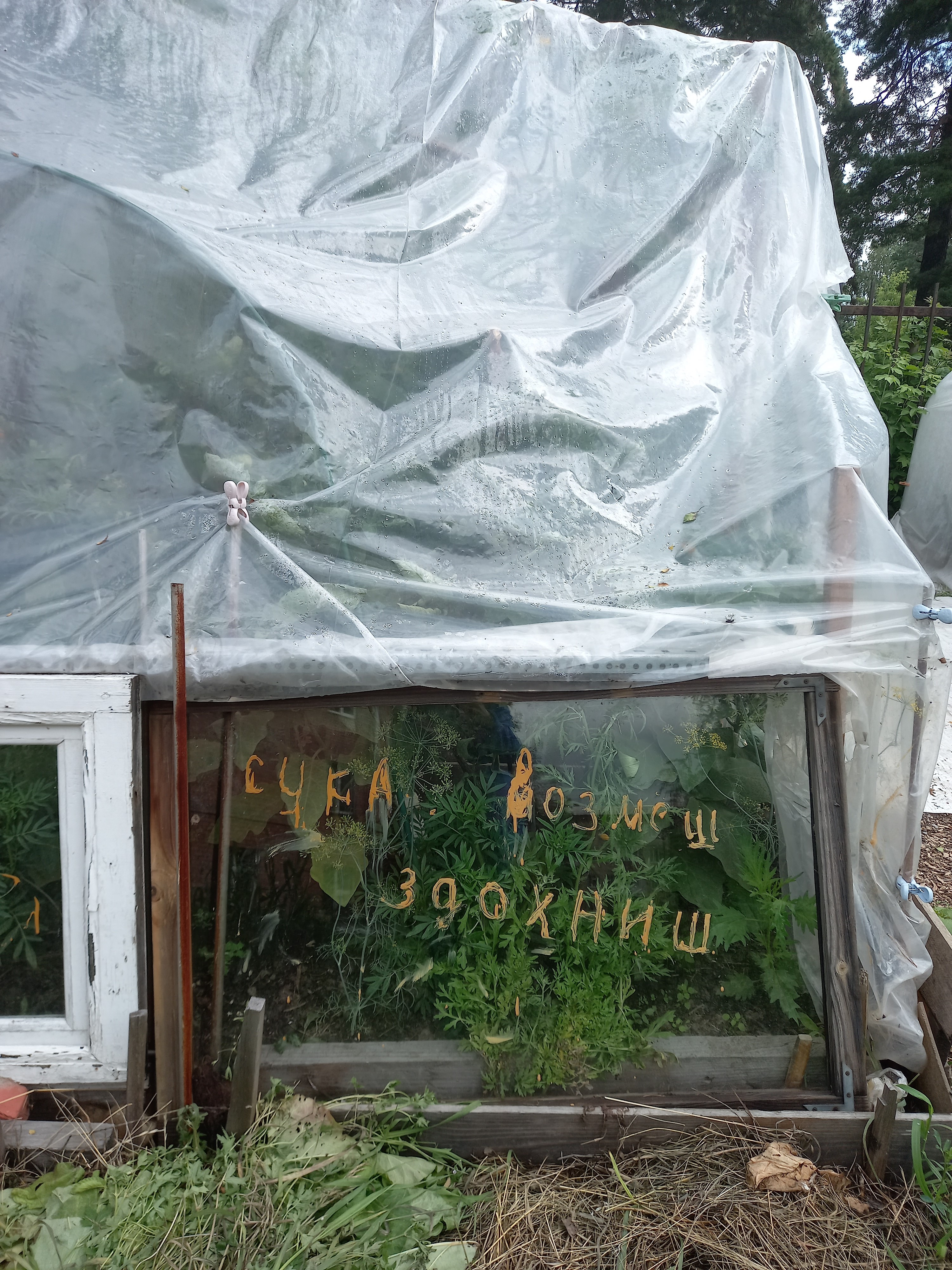 Не берите ничего, пожалуйста.