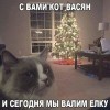 кот Васян и йолка))))