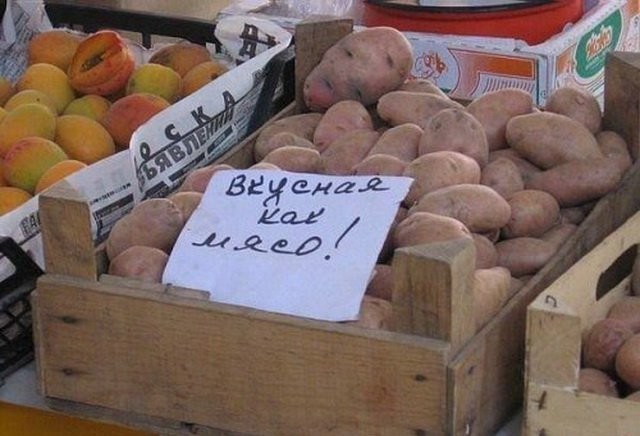 Без названия