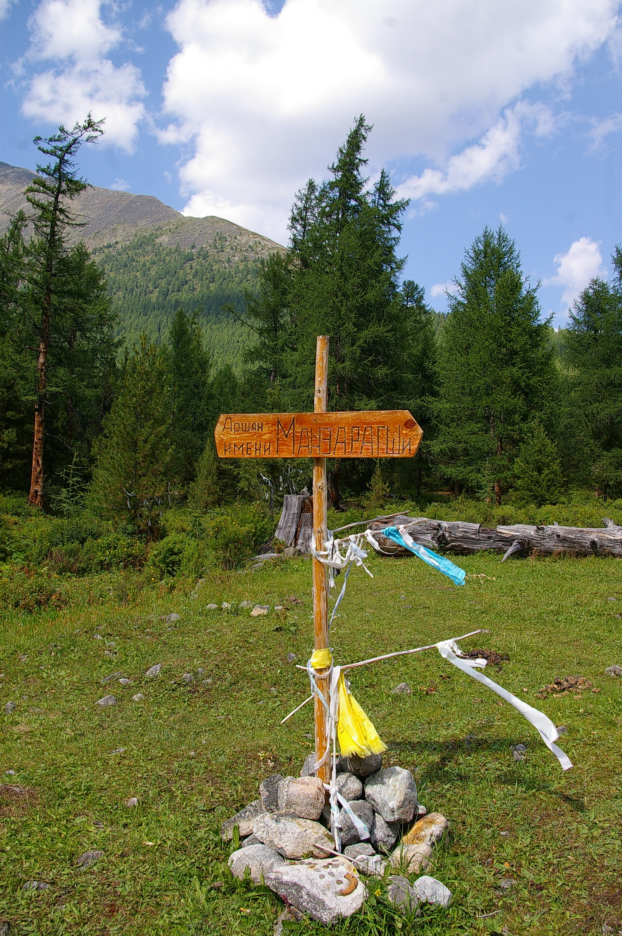 глазной источник