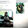 ангарск не устает удивлять ангарск не устает удивлять