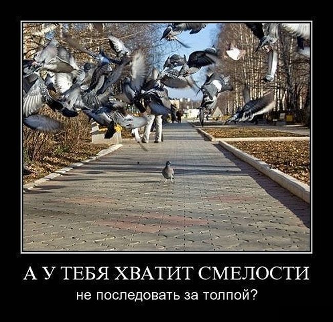 Не последовать за толпой