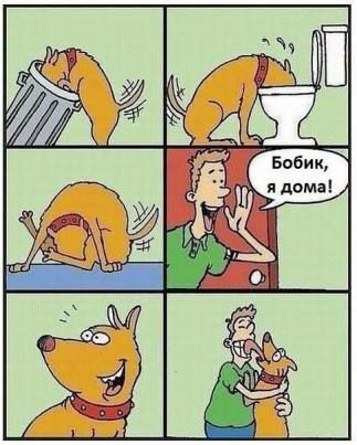 Бобик