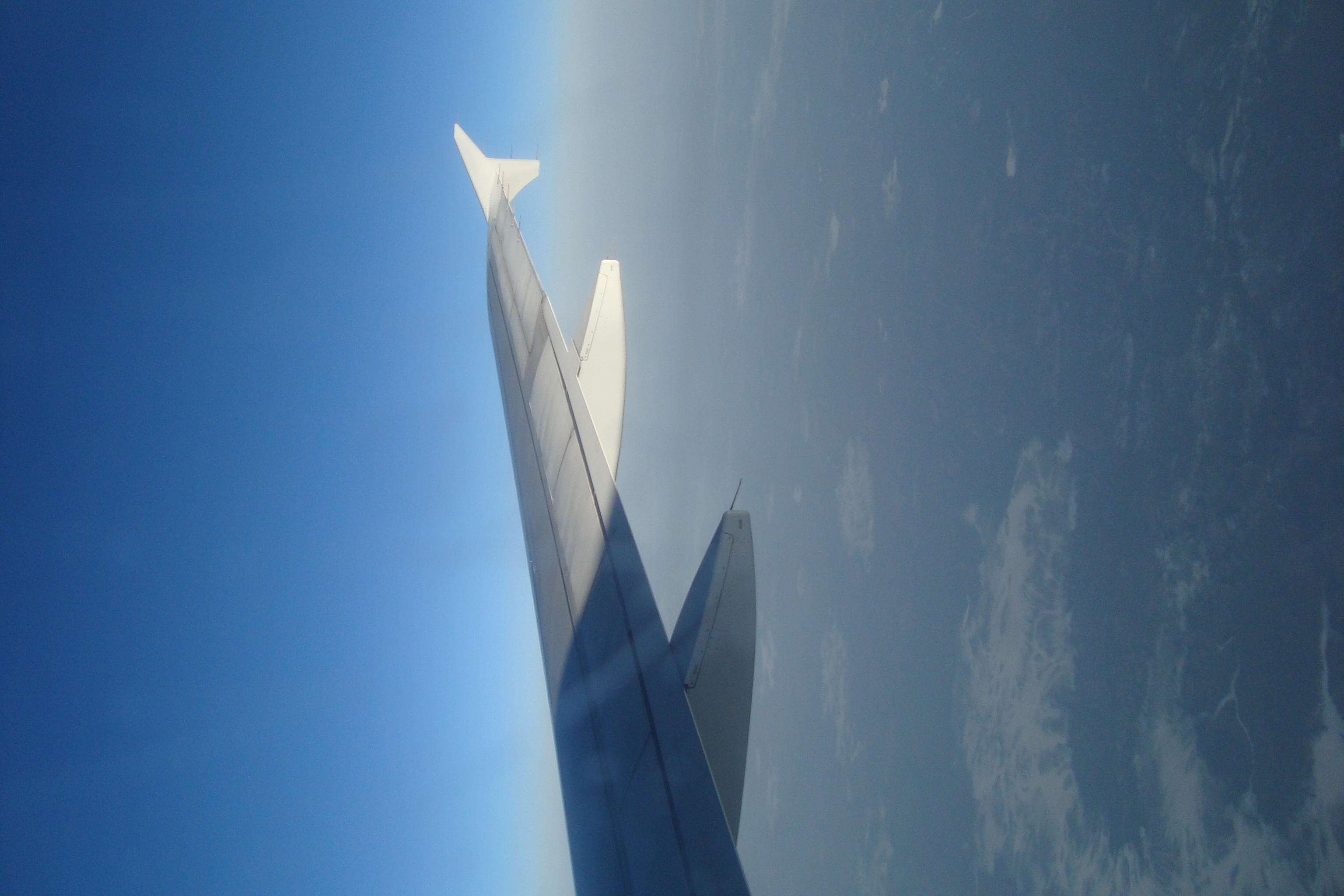 DSC02281