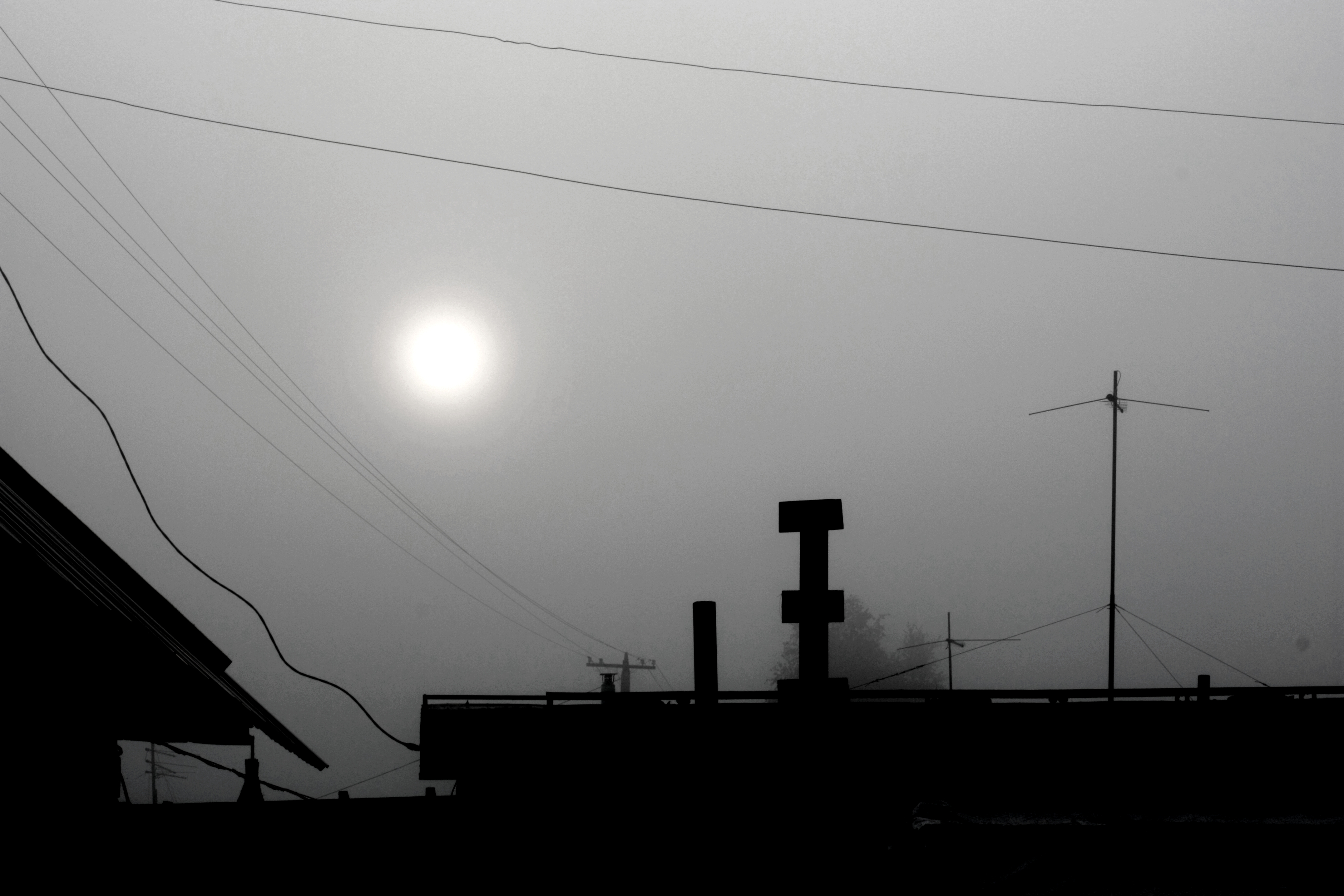 Утро туманное 1